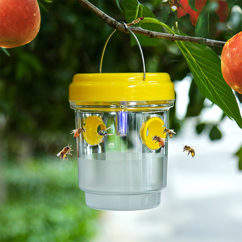 Solarbetriebene Fruchtfliegenf – Outdoor Lighting Brands Bewertung und Preis