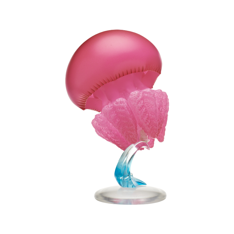 Quallen-Gashapon-Figur Kitan J – Outdoor Lighting Jellyfish Bewertung und Preis