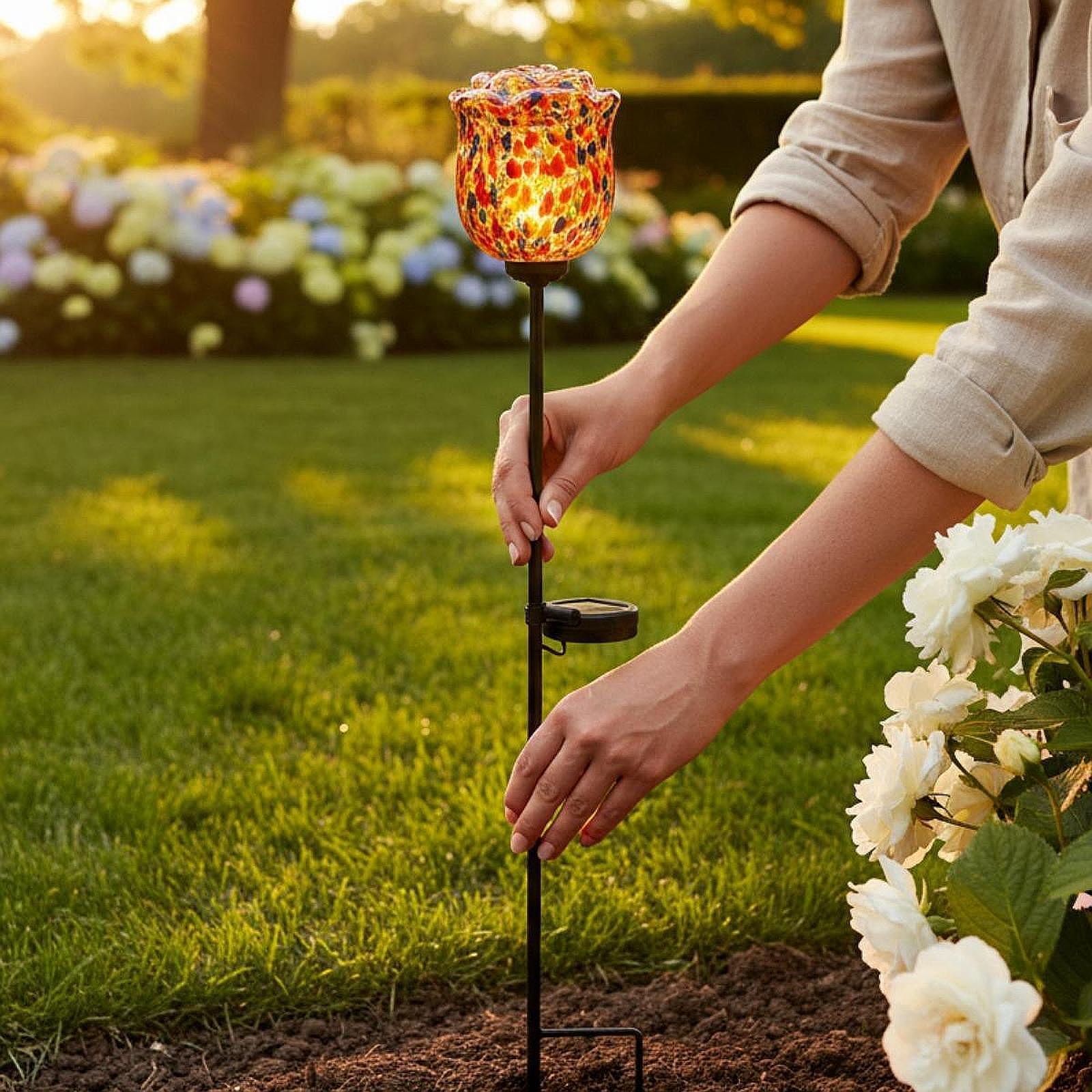 Solare Außenleuchte in Rosenfo – Outdoor Lighting Accent Bewertung und Preis